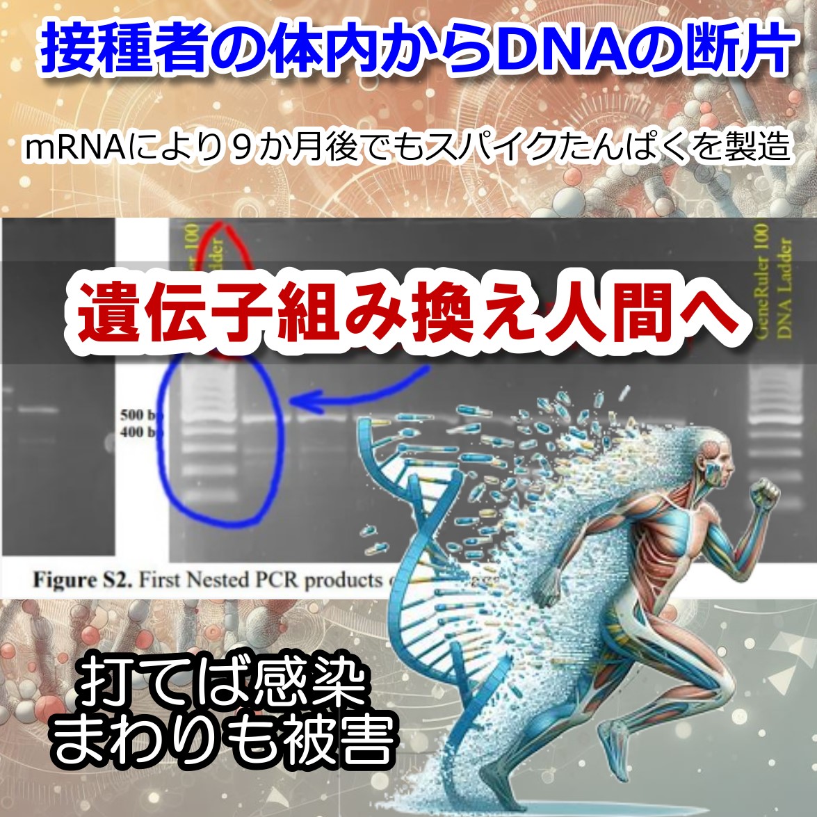 コロナワクチンでmRNAが逆転写！ DNAから遺伝子組み換えのリスク